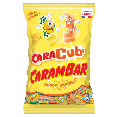 4346342209_produit_1.png