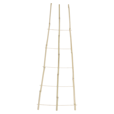 ST14641_produit_1.png
