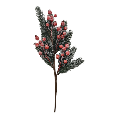 ST13826_produit_1.png