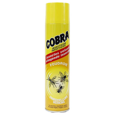 243685_produit_1.png