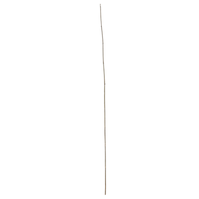 ST14811_produit_1.png