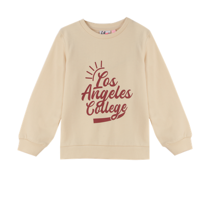 LI02451_produit_1.png