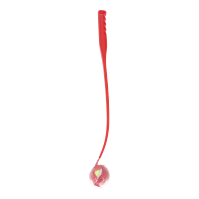 ST12186_produit_1.png