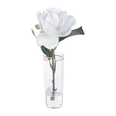 635559-ST_produit_1.png