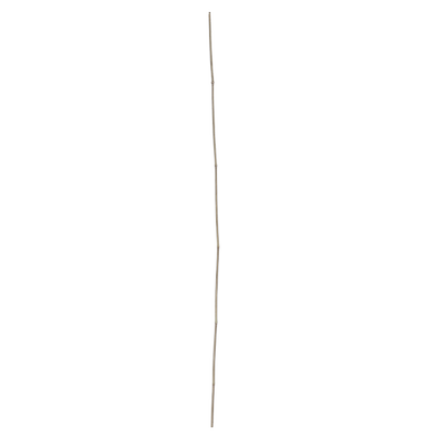 ST14798_produit_1.png
