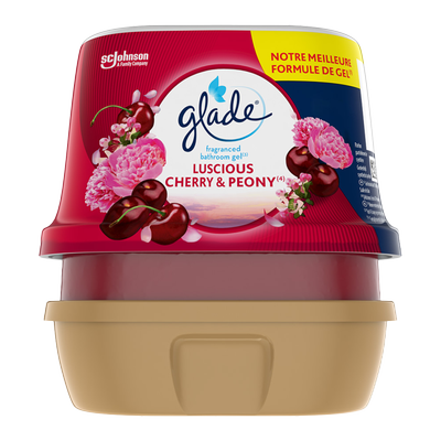 350170_produit_1.png