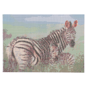 ST10155_produit_5.png