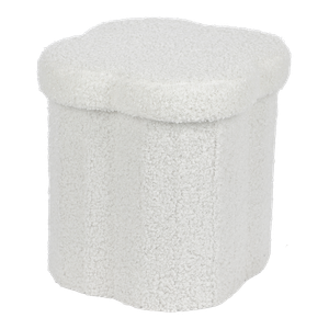 ST15119_produit_2.png